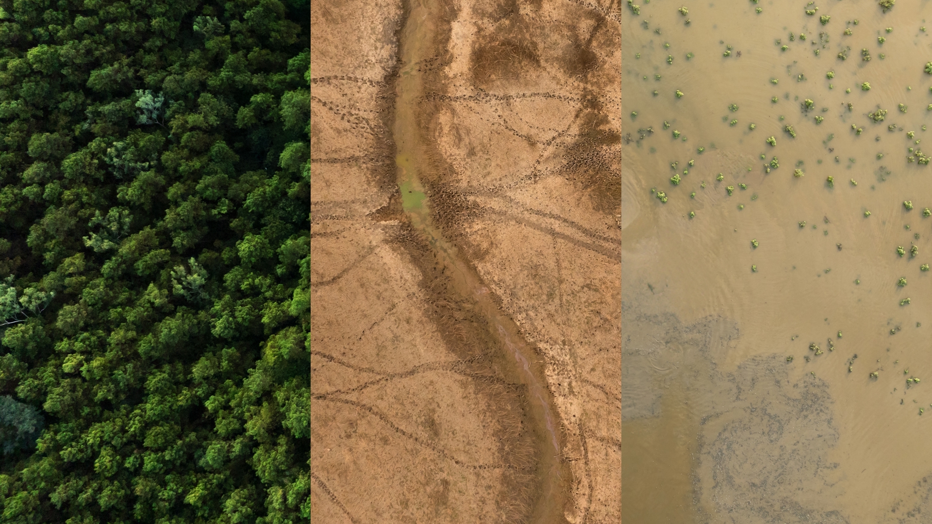 3 fase klimaat Shutterstock 2523052513